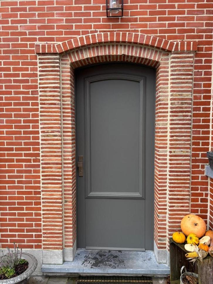 voordeur massief hout in kleur kwartsgrijs, Doe-het-zelf en Bouw, Deuren en Vliegenramen, Hout, Ophalen of Verzenden