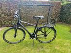 Fiets Thompson tundra, Fietsen en Brommers, Ophalen, Gebruikt, Overige merken, Versnellingen