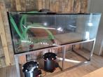 Groot aquarium 960 liter, Dieren en Toebehoren, Ophalen, Zo goed als nieuw