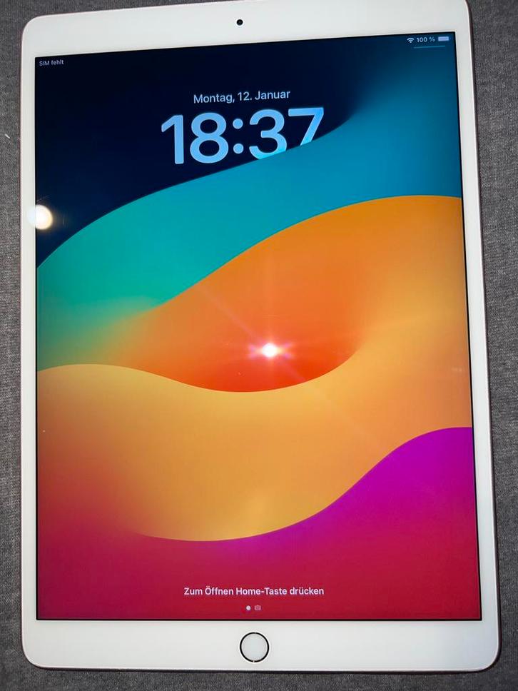 ipad pro (10,5), Computers en Software, Apple iPads, Zo goed als nieuw, 256 GB, Ophalen