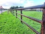 Paardenomheining met 2 of 3 liggers, Weidegang, 2 of 3 paarden of pony's