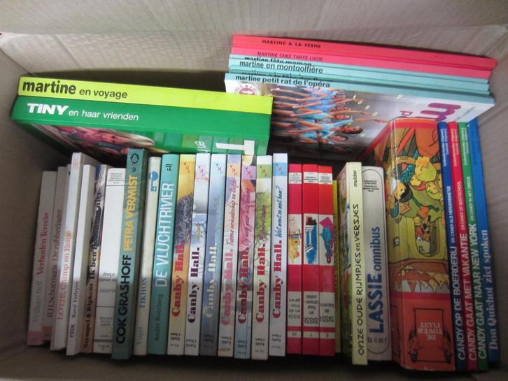Kinder- en jeugdboeken, Boeken, Kinderboeken | Jeugd | 10 tot 12 jaar, Ophalen of Verzenden