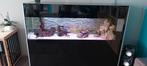 Prachtige aquarium van 2 meter, Ophalen of Verzenden, Zo goed als nieuw, Gevuld zoetwateraquarium