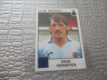 Panini Club Brugge 1985 Verheyen René zeldzaam beschikbaar voor biedingen