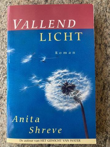 Vallend licht - Anita Schreve beschikbaar voor biedingen