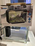 Home 25 aquarium – compleet set, Dieren en Toebehoren, Vissen | Aquariumvissen, Vis, Zoetwatervis