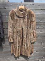 Vintage bontjas van muskusrat – Pelsland, Kleding | Dames, Jassen | Winter, Ophalen, Zo goed als nieuw, Beige