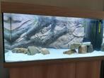 tk juwel rio 180(nieuwstaat), Dieren en Toebehoren, Ophalen, Nieuw, Gevuld zoetwateraquarium