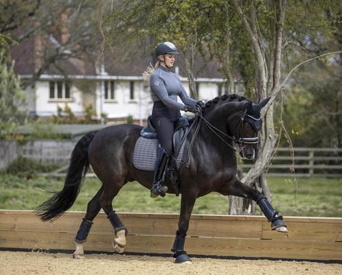 LeMieux Self-Cool Mesh dressuur dekje Grijs SALE -40%!!, Dieren en Toebehoren, Paarden en Pony's | Dekens en Dekjes, Nieuw, Dekje