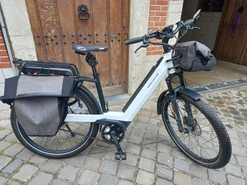 speed pedelec Riese & Muller NEVO GT Rohloff + 2 batterijen, Fietsen en Brommers, Elektrische fietsen, Gebruikt, Riese & Müller