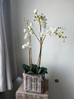 Orchidee + houten sokkel, Huis en Inrichting, Ophalen, Zo goed als nieuw