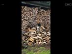 Brandhout, Tuin en Terras, Brandhout, Ophalen, Overige houtsoorten