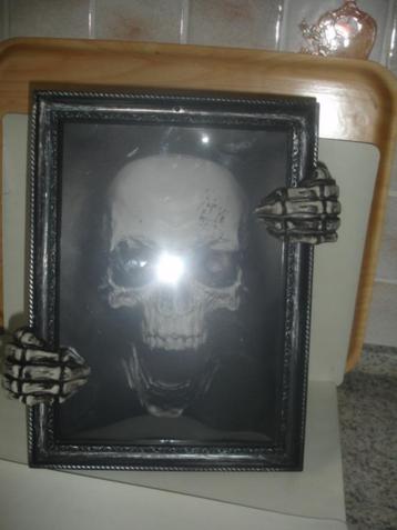 Kader voor Halloween met licht en geluid beschikbaar voor biedingen