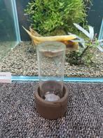 Oxydator mini, Ophalen, Gebruikt, Overige typen