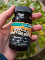 Korrels voor kreeften, Ophalen