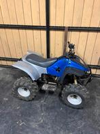 Project quad 2 takt, Fietsen en Brommers, Ophalen, Gebruikt, Overige typen