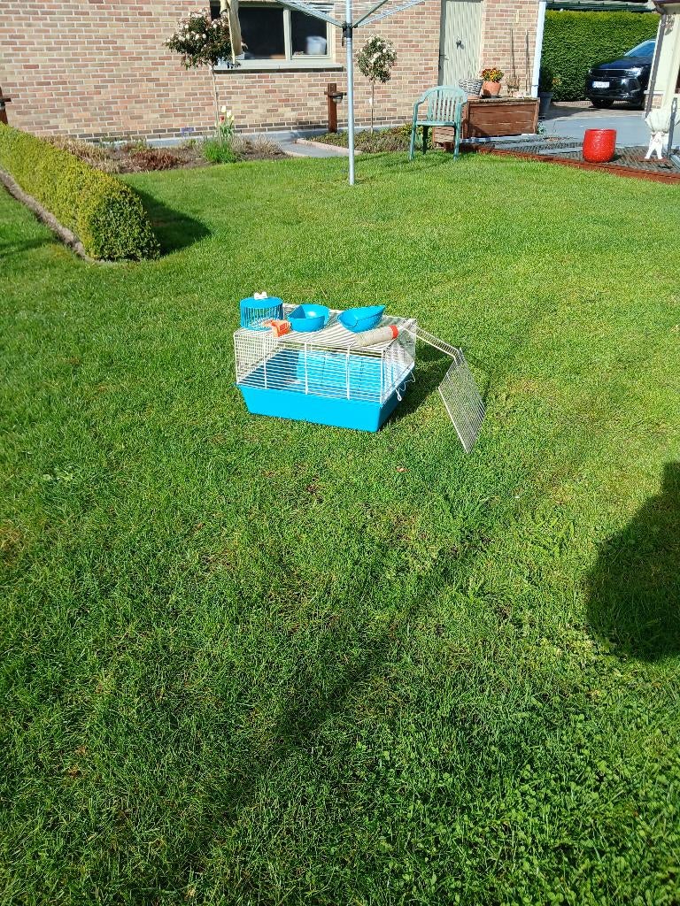 hamsterkooi, Ophalen, Kooi