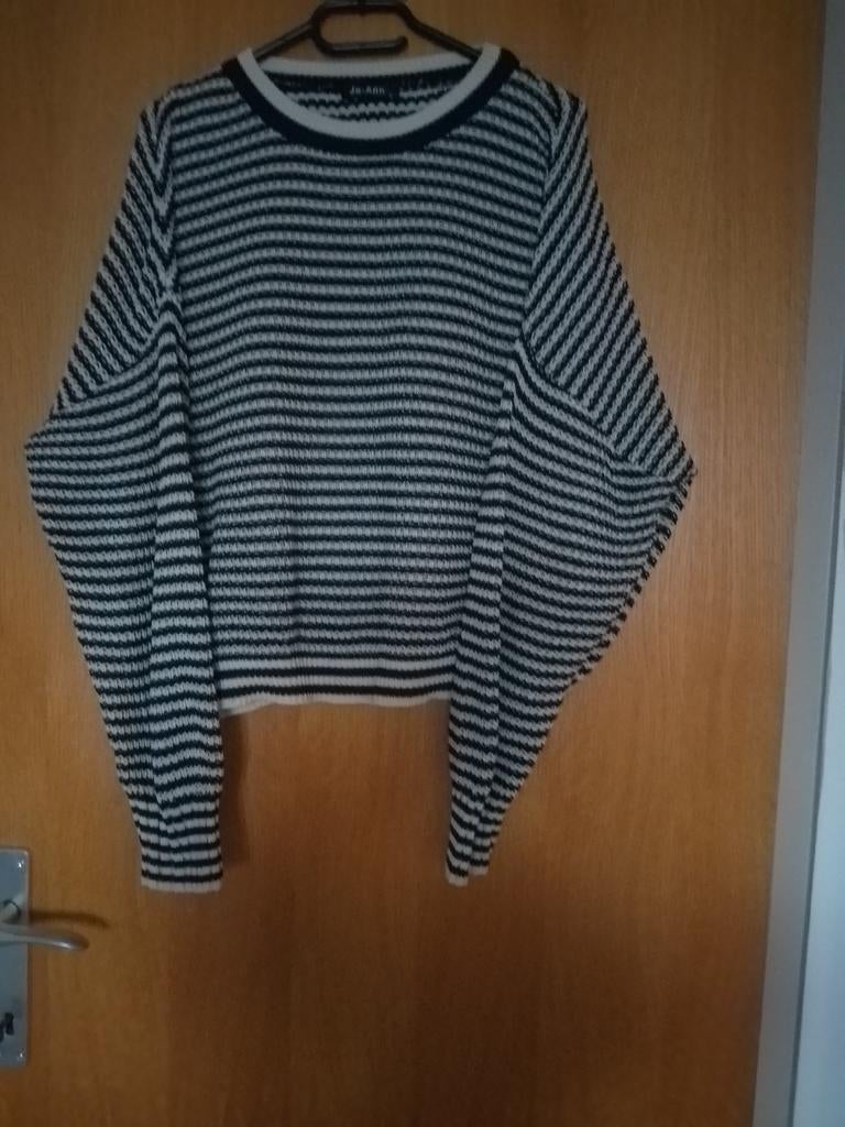 Trui maat large oversized, Kleding | Dames, Truien en Vesten, Ophalen of Verzenden, Gedragen, Maat 42/44 (L)