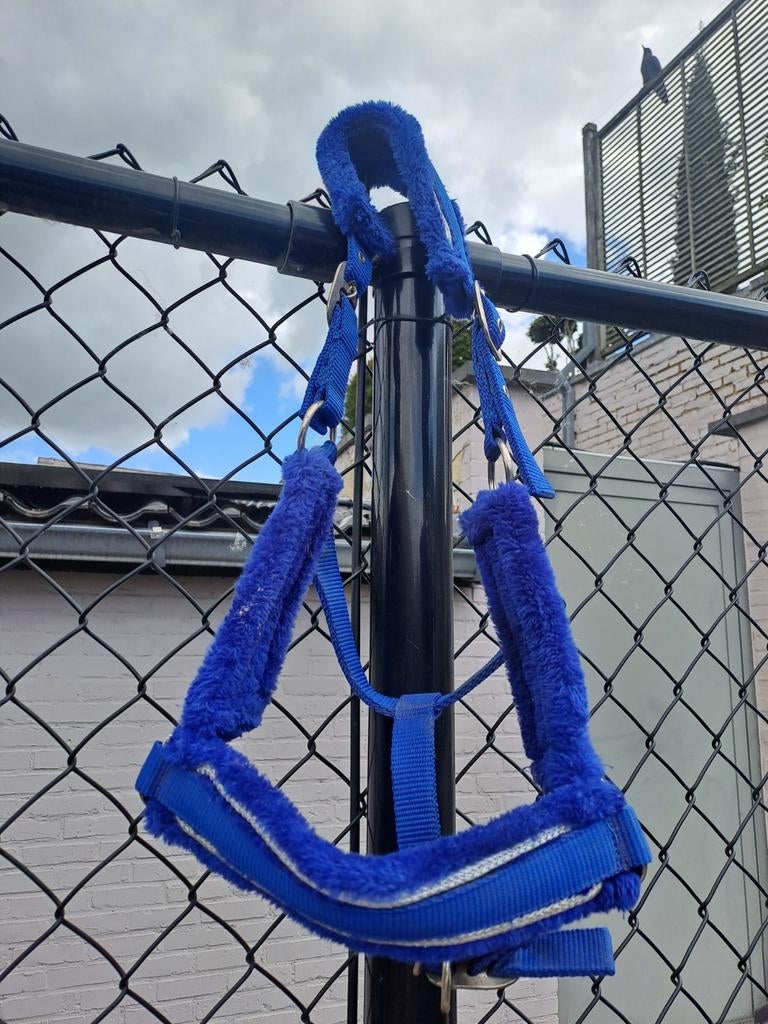 Blauw halster maat cob 8 euro, Animaux & Accessoires, Chevaux & Poneys | Brides & Harnachement, Enlèvement