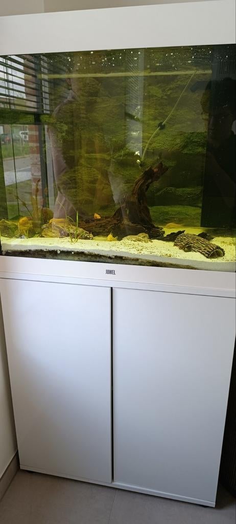 Visbak met vissen, Dieren en Toebehoren, Vissen | Aquaria en Toebehoren, Ophalen, Pomp