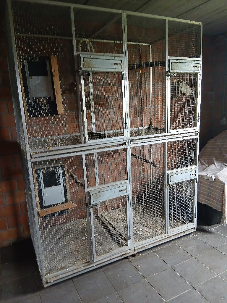 Kweek kooi, Enlèvement