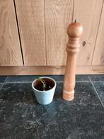 Grote pepermolen, Ophalen