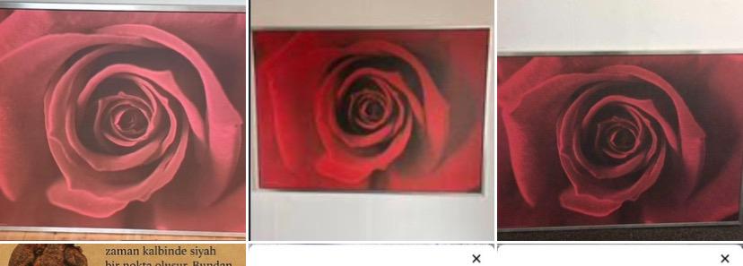 À VENDRE rideauxmagasin/lave-vaissellefauteuil roulant/salon, Animaux & Accessoires, Enlèvement