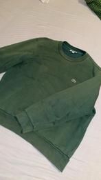 Lacoste trui maat XL, Ophalen, Zo goed als nieuw, Maat 56/58 (XL), Groen
