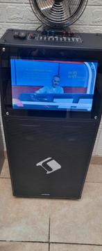 PROFESSIONNEL DU SAUNA, Enlèvement