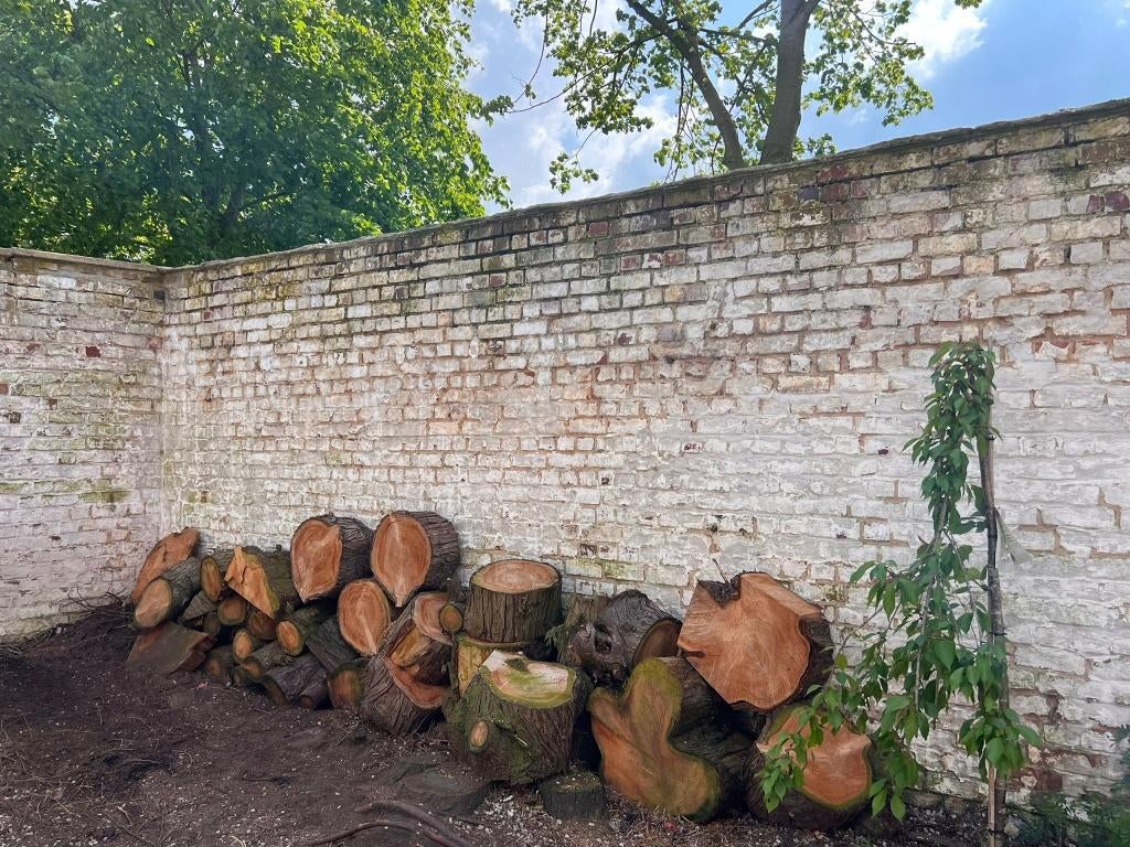 Bois de chauffage 3m3, Jardin & Terrasse, Bois de chauffage, 3 à 6 m³, Enlèvement, Bûches