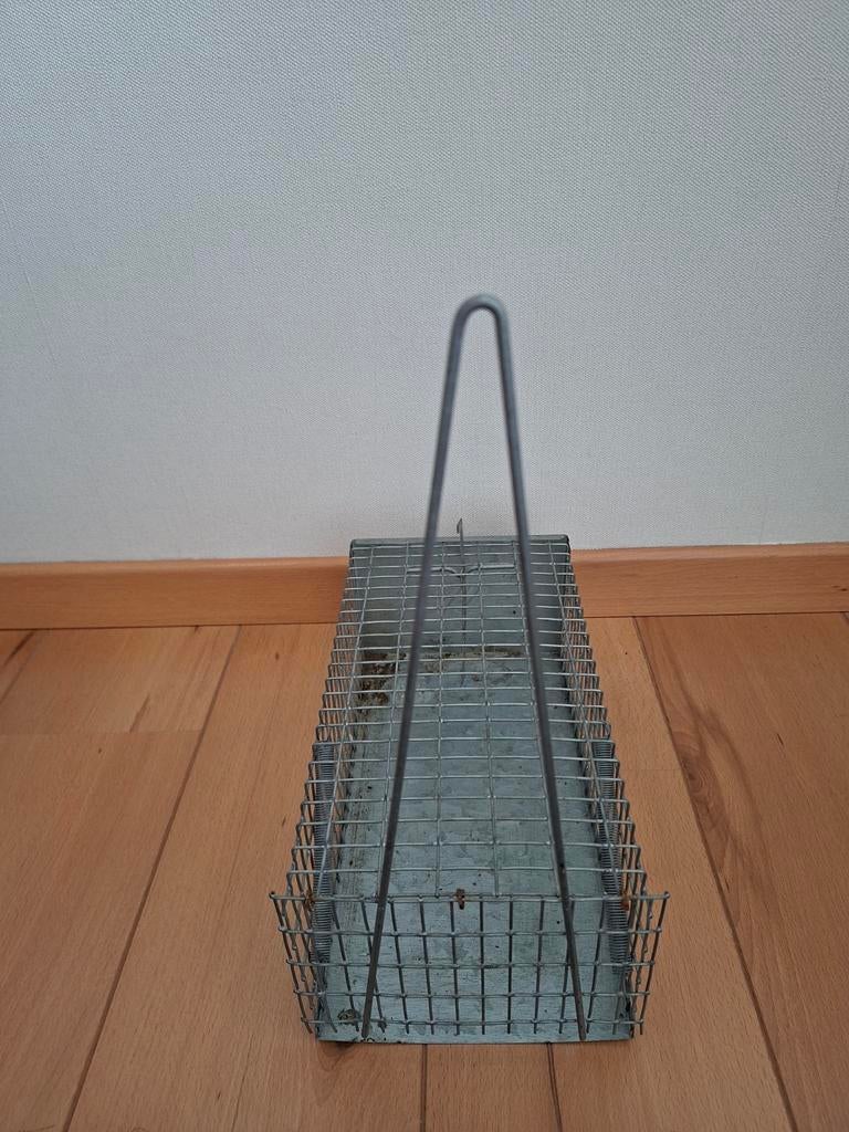 Ratten-muizenval # ijzer, Ophalen