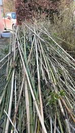 Bamboe stokken, Ophalen