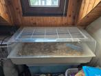 Hamster - muizen kooi, Dieren en Toebehoren, Kooi, Gebruikt, Muis, 75 tot 110 cm