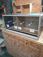 Nieuw vogelkooi, Dieren en Toebehoren, Ophalen, Nieuw, Hout, Broedkooi of Kweekkooi