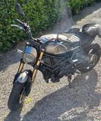 Benelli Leoncino 800 (2024), Permis Moto A, Plus de 35 kW, 2 cylindres, Éclairage LED