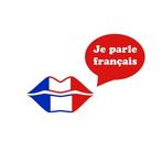 Cours de français par un professeur francophone à Knokke, Cours particulier, Cours de langue
