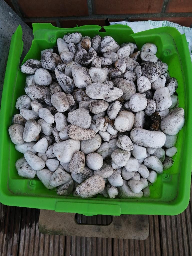 Pierres de jardin, Jardin & Terrasse, Gravier, Enlèvement, Utilisé, Autres matériaux