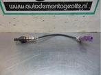 Lambda Sonde van een Ford KA (KA 96-), Gebruikt, -, -, Ophalen of Verzenden