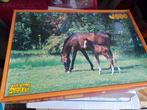 Paarden puzzel 1000 stuks, Enlèvement ou Envoi
