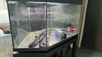 Aquarium van 200 liter in hoeken, Dieren en Toebehoren, Ophalen, Gebruikt, Leeg aquarium