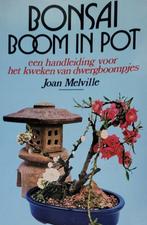 Bonsaiboom in pot een handleiding voor het kweken Joan Melvi, Comme neuf, Enlèvement ou Envoi