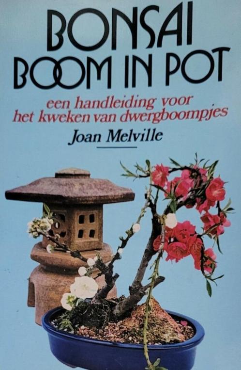 Bonsaiboom in pot een handleiding voor het kweken Joan Melvi, Livres, Loisirs & Temps libre, Comme neuf, Enlèvement ou Envoi