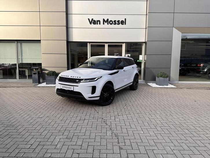 Land Rover Range Rover Evoque P300e SE AWD Auto. 21MY, Auto's, Land Rover, Bedrijf, Te koop, 4x4, Airconditioning, Android Auto