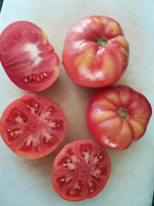 5 zaden grote tomaat Mikka - goed voor buiten - BIO, Tuin en Terras, Bloembollen en Zaden, Zaad, Voorjaar, Volle zon, Verzenden