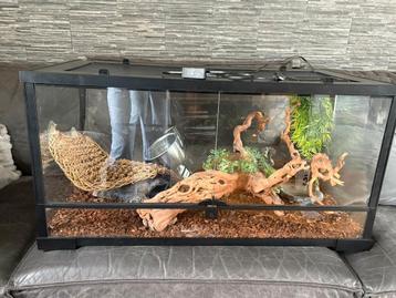 Terrarium, Enlèvement, Comme neuf