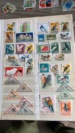 Leuke postzegels vogels (23Y), Envoi