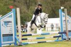 Gezocht: E pony paard gefokt, Dieren en Toebehoren, Merrie, Springpaard, Minder dan 160 cm, B