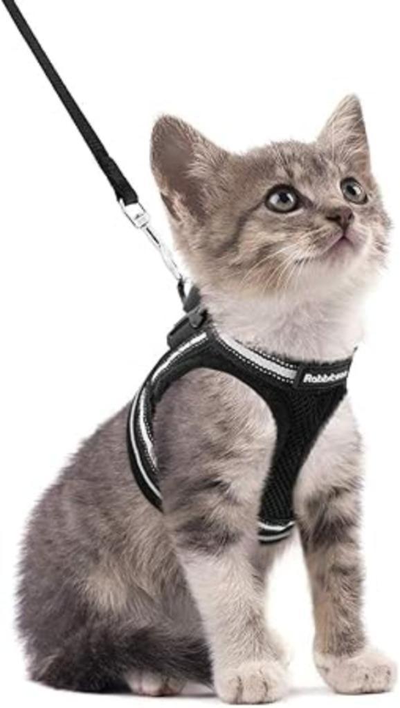 Kattentuigje met riem harnas voor kittens GRATIS LEVERING, Dieren en Toebehoren, Katten-accessoires, Nieuw, Verzenden