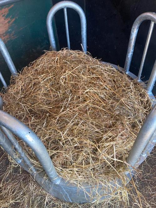 midi balen voordroog, Dieren en Toebehoren, Dierenvoeding, Ophalen