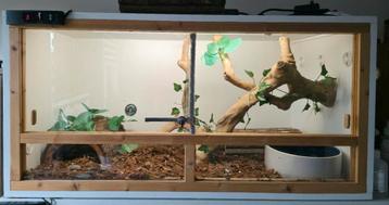 Terrarium complet 100x50x50 avec PR beschikbaar voor biedingen